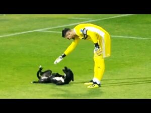 Mascotas de CR7: Descubre qué animales tiene el futbolista