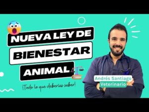 Estadísticas: Cuántas mascotas tiene España